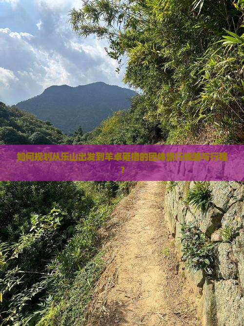 如何规划从乐山出发到羊卓雍措的团体旅行线路与行程？