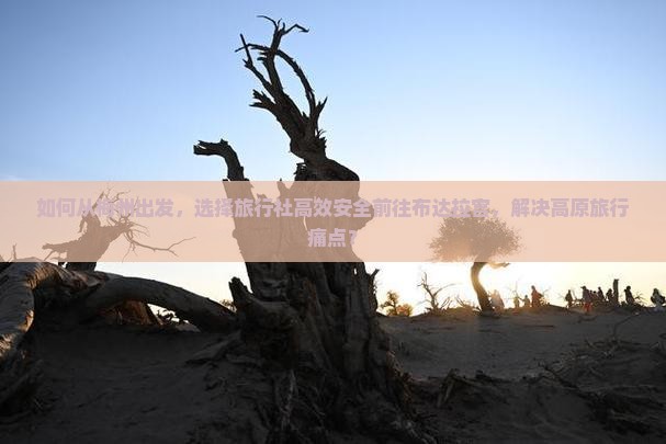 如何从梅州出发，选择旅行社高效安全前往布达拉宫，解决高原旅行痛点？