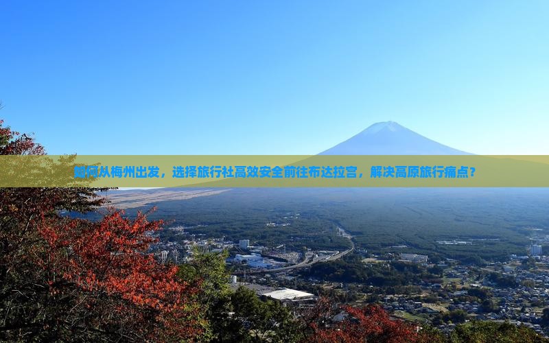 如何从梅州出发，选择旅行社高效安全前往布达拉宫，解决高原旅行痛点？