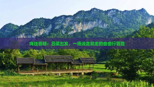 向往鲁朗：吕梁出发，一场说走就走的自由行冒险