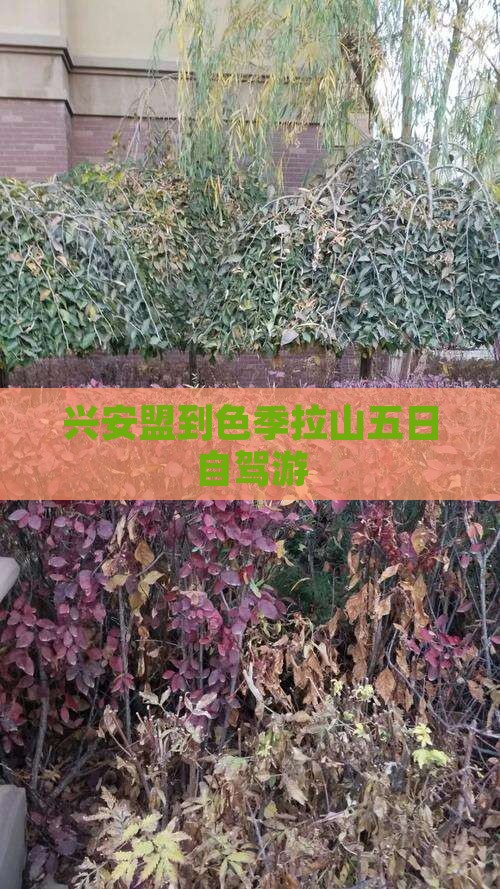 兴安盟到色季拉山五日自驾游