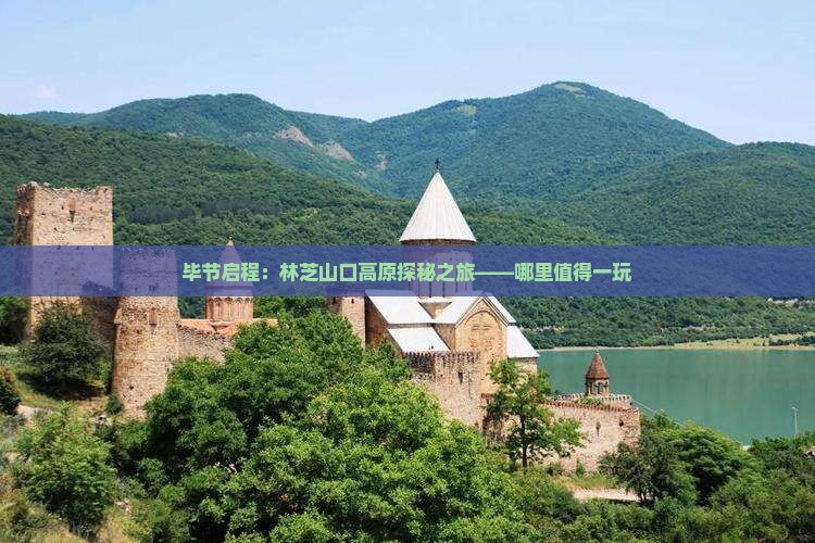 毕节启程：林芝山口高原探秘之旅——哪里值得一玩