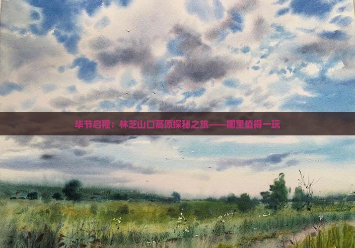 毕节启程：林芝山口高原探秘之旅——哪里值得一玩