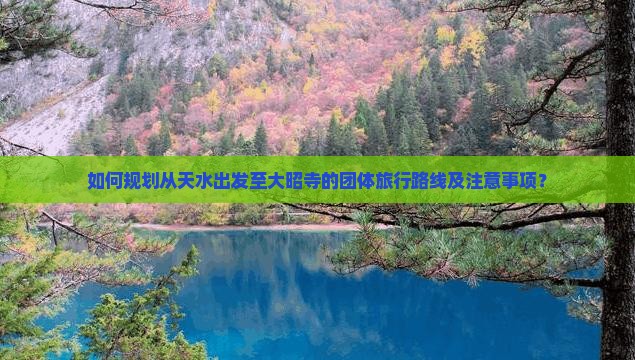 如何规划从天水出发至大昭寺的团体旅行路线及注意事项？