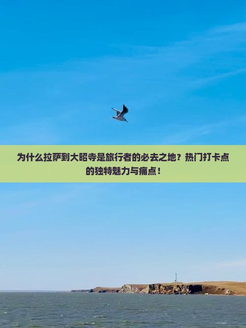 为什么拉萨到大昭寺是旅行者的必去之地？热门打卡点的独特魅力与痛点！