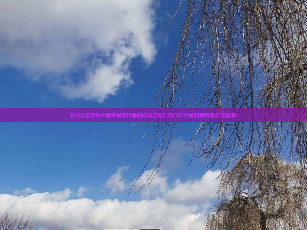 为什么拉萨到大昭寺是旅行者的必去之地？热门打卡点的独特魅力与痛点！