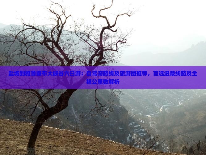 盐城到雅鲁藏布大峡谷六日游：自驾游路线及旅游团推荐，首选进藏线路及全程公里数解析
