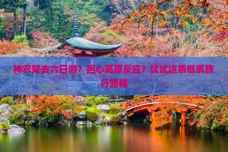 神农架去六日游？担心高原反应？试试这条低氧旅行路稀
