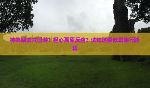 神农架去六日游？担心高原反应？试试这条低氧旅行路稀