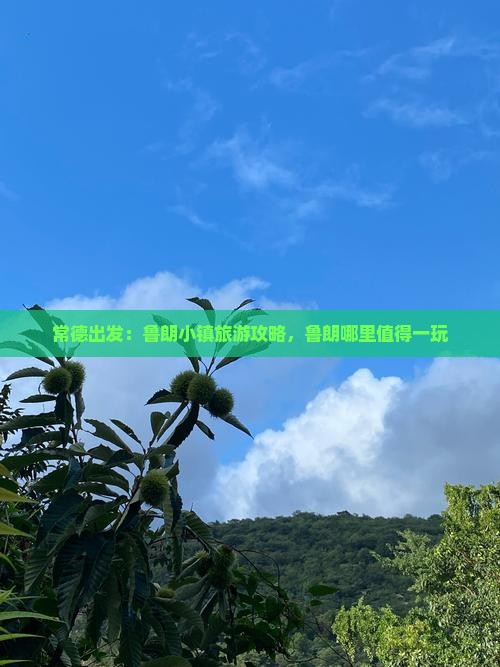 常德出发：鲁朗小镇旅游攻略，鲁朗哪里值得一玩