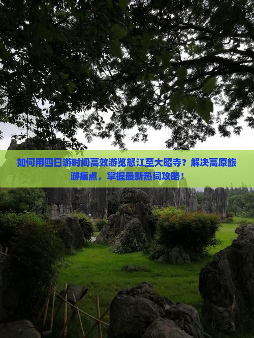 如何用四日游时间高效游览怒江至大昭寺？解决高原旅游痛点，掌握最新热词攻略！