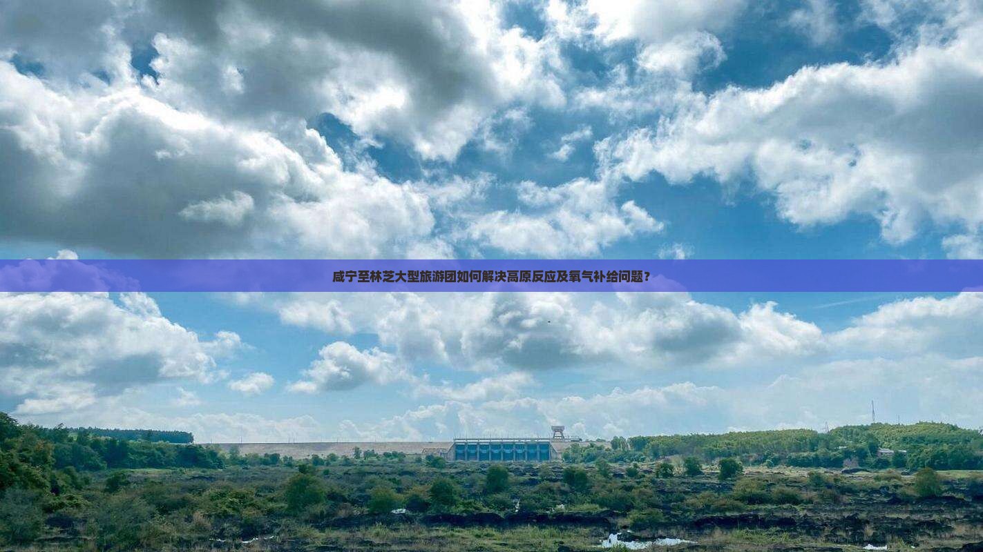 咸宁至林芝大型旅游团如何解决高原反应及氧气补给问题？