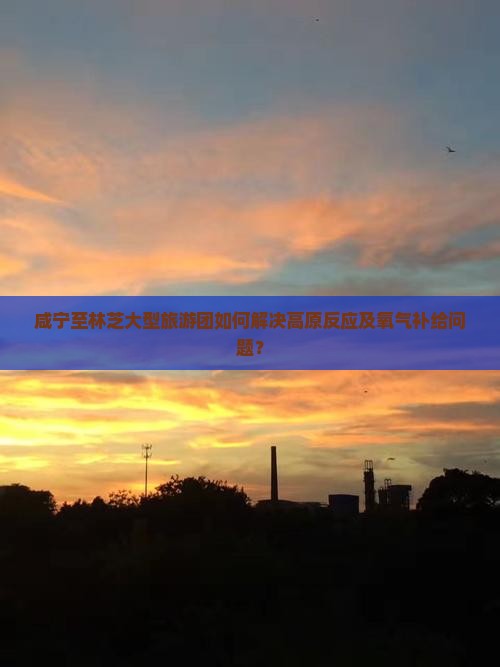 咸宁至林芝大型旅游团如何解决高原反应及氧气补给问题？