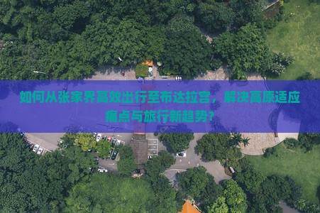 如何从张家界高效出行至布达拉宫，解决高原适应痛点与旅行新趋势？