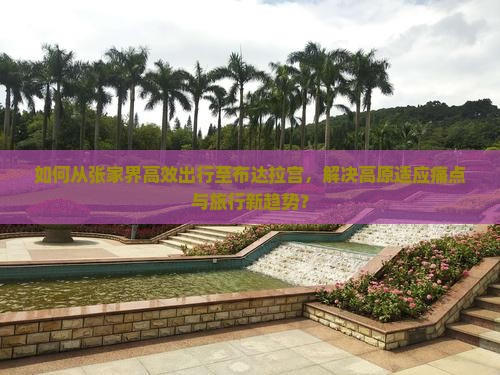 如何从张家界高效出行至布达拉宫，解决高原适应痛点与旅行新趋势？