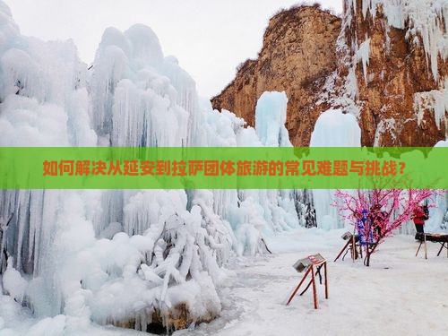 如何解决从延安到拉萨团体旅游的常见难题与挑战？