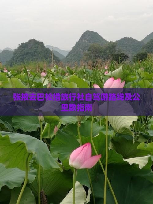 张掖去巴松措旅行社自驾游路线及公里数指南