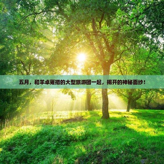 五月，和羊卓雍措的大型旅游团一起，揭开的神秘面纱！