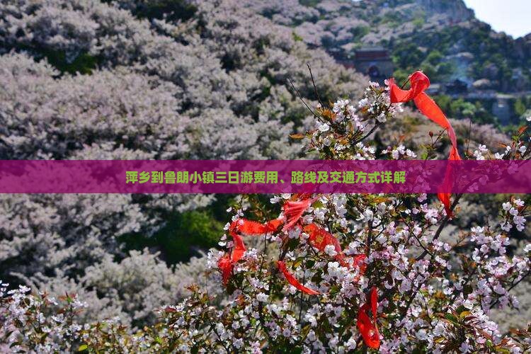 萍乡到鲁朗小镇三日游费用、路线及交通方式详解