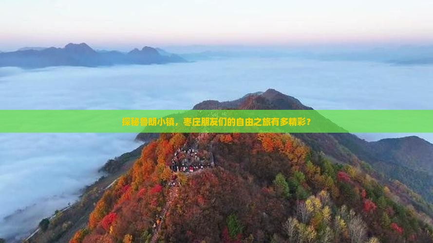探秘鲁朗小镇，枣庄朋友们的自由之旅有多精彩？