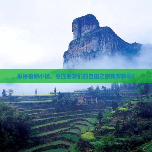 探秘鲁朗小镇，枣庄朋友们的自由之旅有多精彩？