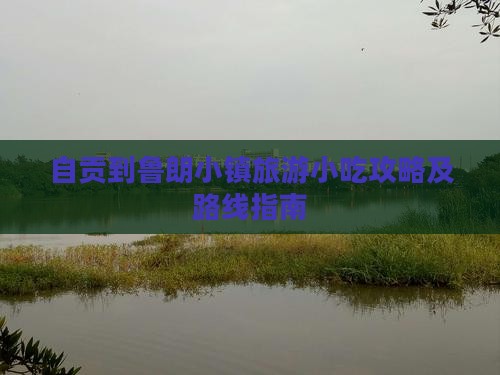 自贡到鲁朗小镇旅游小吃攻略及路线指南