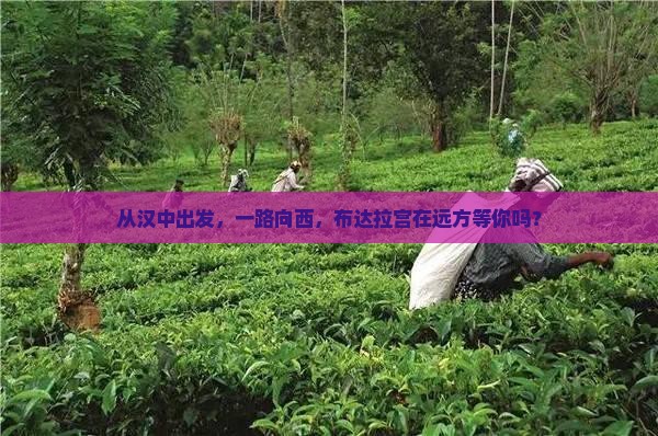 从汉中出发，一路向西，布达拉宫在远方等你吗？