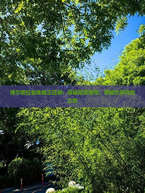 博尔塔拉去珠峰三日游：探秘高原奇观，领略壮丽风光之旅