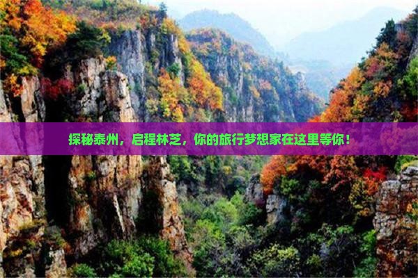 探秘泰州，启程林芝，你的旅行梦想家在这里等你！