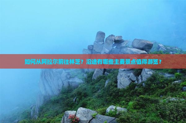 如何从阿拉尔前往林芝？沿途有哪些主要景点值得游览？