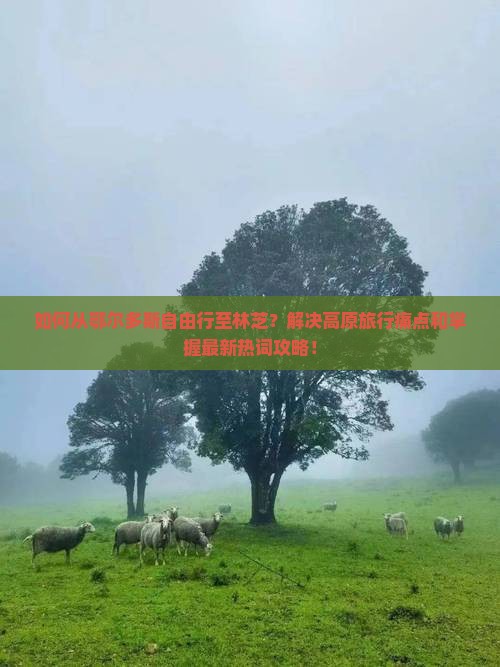 如何从鄂尔多斯自由行至林芝？解决高原旅行痛点和掌握最新热词攻略！