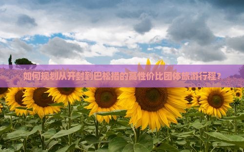 如何规划从开封到巴松措的高性价比团体旅游行程？