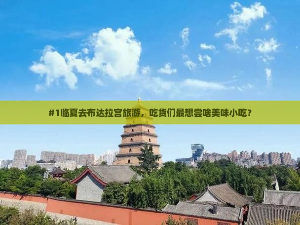 #1临夏去布达拉宫旅游，吃货们最想尝啥美味小吃？