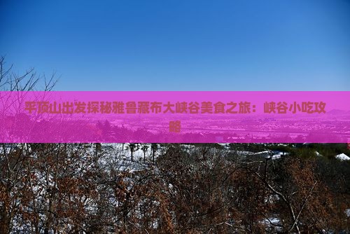 平顶山出发探秘雅鲁藏布大峡谷美食之旅：峡谷小吃攻略