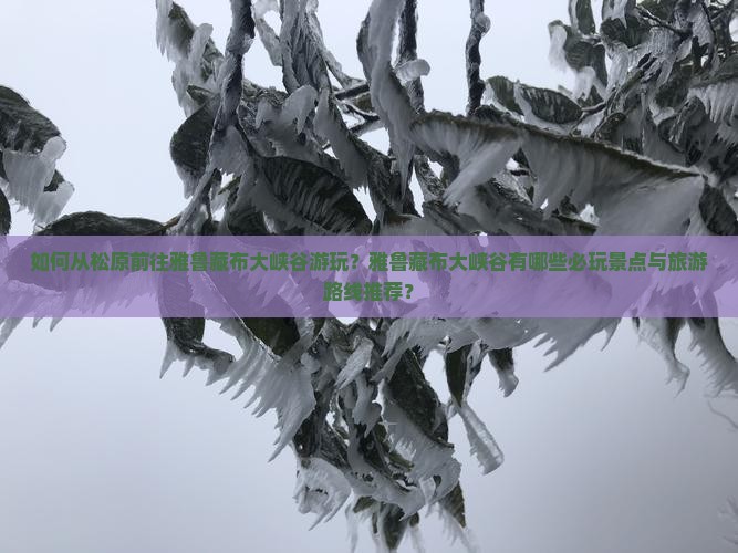 如何从松原前往雅鲁藏布大峡谷游玩？雅鲁藏布大峡谷有哪些必玩景点与旅游路线推荐？