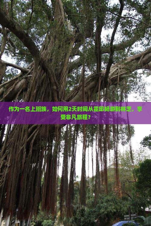 作为一名上班族，如何用2天时间从霍邱畅游到林芝，享受非凡旅程？
