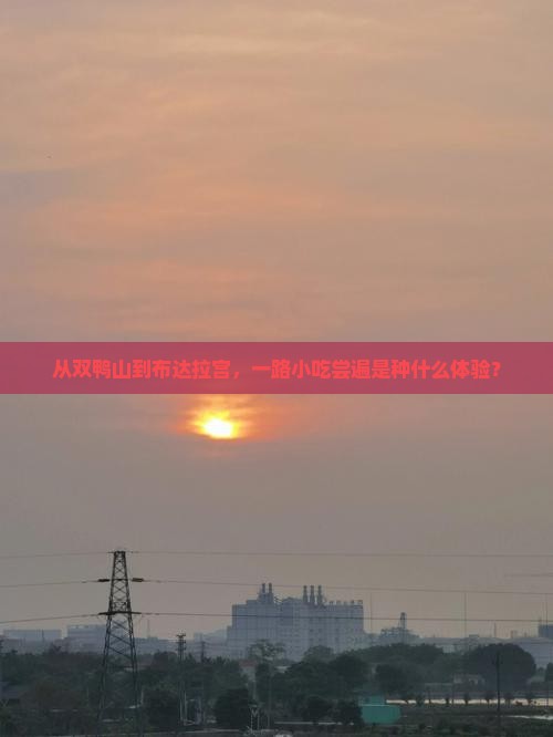 从双鸭山到布达拉宫，一路小吃尝遍是种什么体验？
