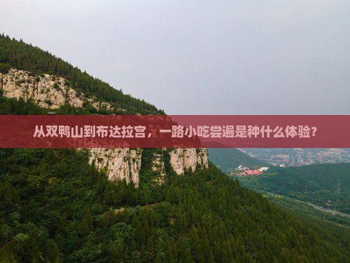 从双鸭山到布达拉宫，一路小吃尝遍是种什么体验？