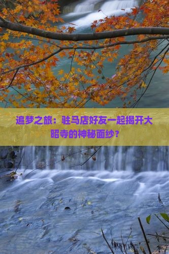 追梦之旅：驻马店好友一起揭开大昭寺的神秘面纱？