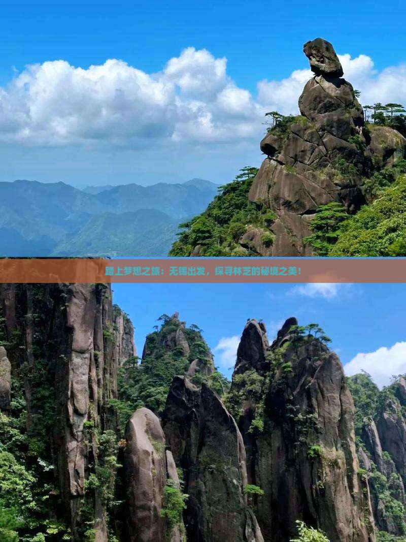 踏上梦想之旅：无锡出发，探寻林芝的秘境之美！
