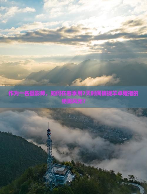 作为一名摄影师，如何在春季用7天时间捕捉羊卓雍措的绝美风光？