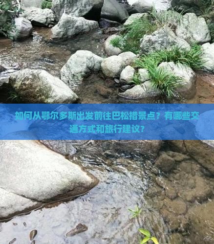 如何从鄂尔多斯出发前往巴松措景点？有哪些交通方式和旅行建议？