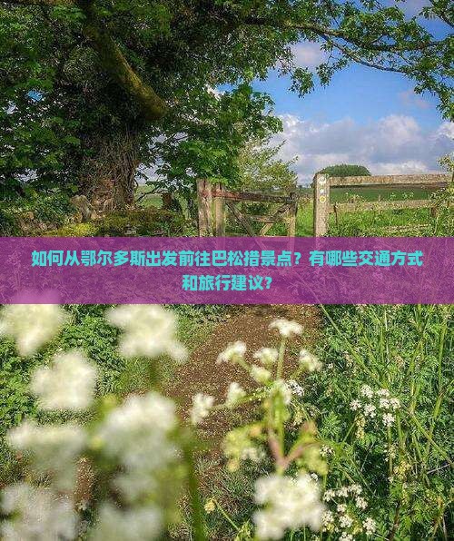 如何从鄂尔多斯出发前往巴松措景点？有哪些交通方式和旅行建议？