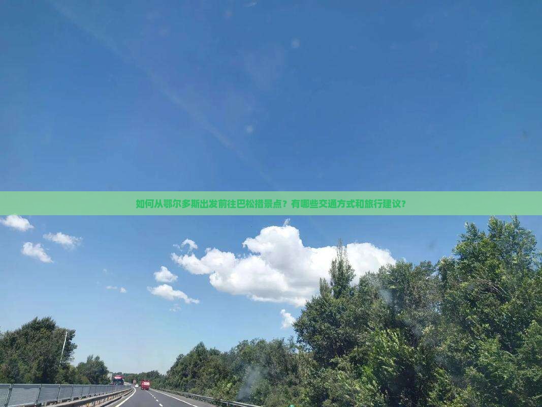 如何从鄂尔多斯出发前往巴松措景点？有哪些交通方式和旅行建议？