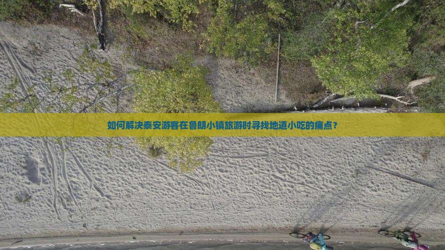 如何解决泰安游客在鲁朗小镇旅游时寻找地道小吃的痛点？