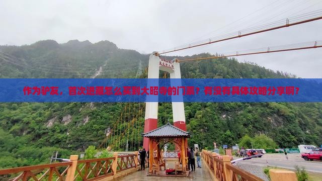 作为驴友，首次进藏怎么买到大昭寺的门票？有没有具体攻略分享啊？