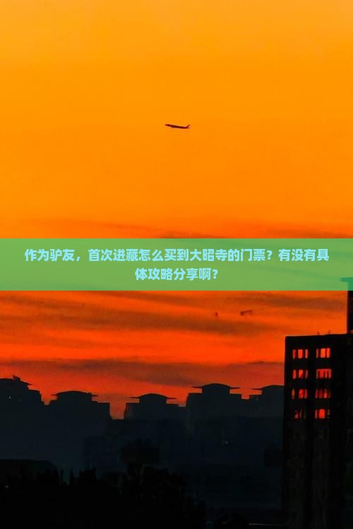 作为驴友，首次进藏怎么买到大昭寺的门票？有没有具体攻略分享啊？