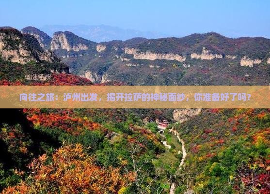 向往之旅：泸州出发，揭开拉萨的神秘面纱，你准备好了吗？
