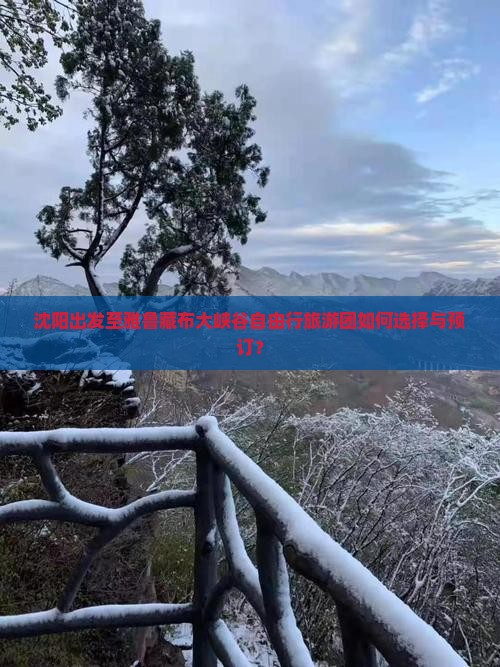 沈阳出发至雅鲁藏布大峡谷自由行旅游团如何选择与预订？