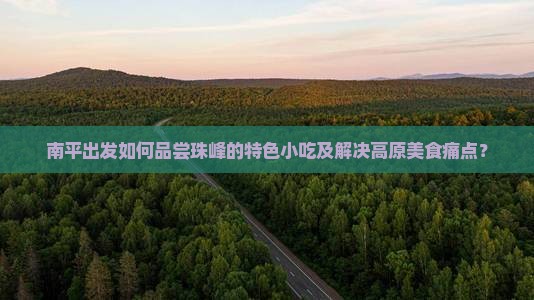 南平出发如何品尝珠峰的特色小吃及解决高原美食痛点？